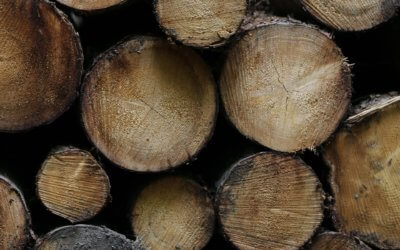 Why Shop at a Lumber Yard Rather Than a Big Box Store?